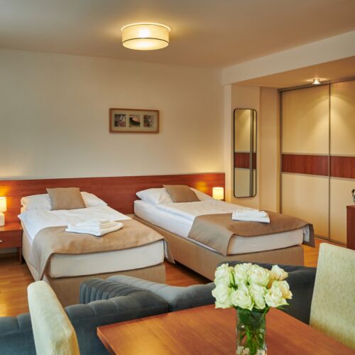 Camera twin confort cu bucătărie proprie