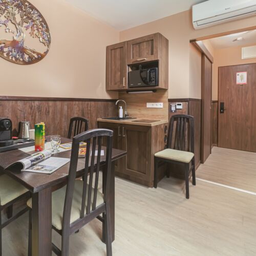 Apartament 4-osobowy Studio Superior z 1 pomieszczeniem sypialnianym