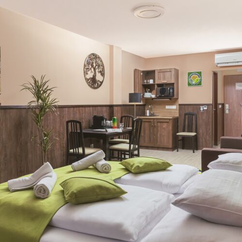 Apartament 4-osobowy Deluxe Studio z 1 pomieszczeniem sypialnianym