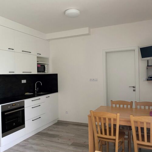 Standard Apartman se sprchou pro 2 os. (s možností přistýlky)