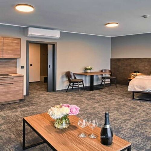Deluxe 1-Room Balcony Apartment for 2 Persons (extra beds available)