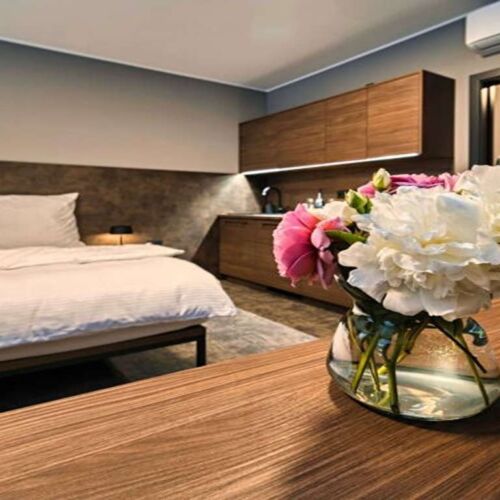 Standard 1-Room Apartment for 2 Persons