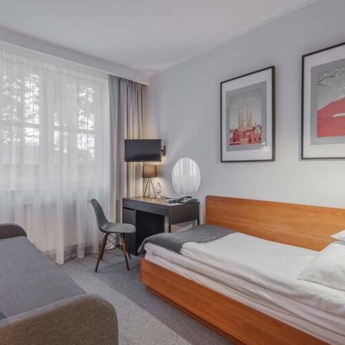 Pokój 1-osobowy Standard (możliwa dostawka)