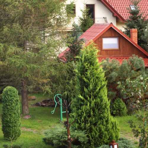 Domek letniskowy 4-osobowy cały dom z widokiem na ogród