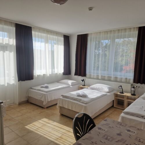 Camera tripla familial(ă) cu vedere spre parc