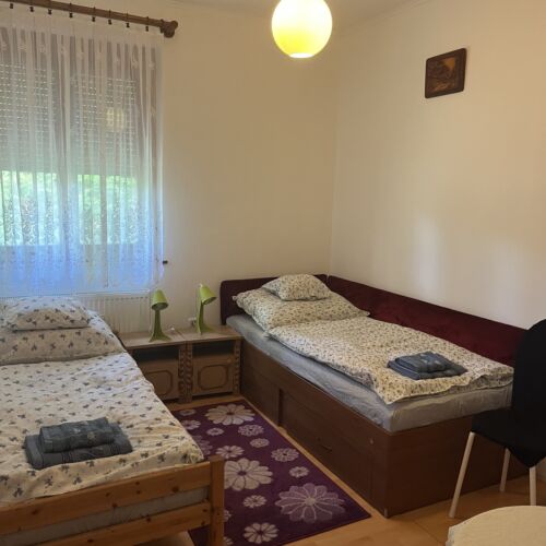 Camera twin la parter cu vedere spre grădină