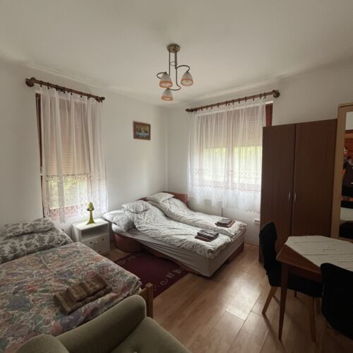 Camera tripla la parter cu vedere spre grădină