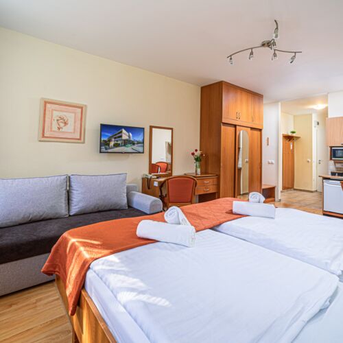 Apartament barrierfree cu 1 camera pentru 2 pers. (se poate solicita pat suplimentar)