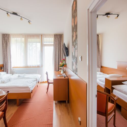 Apartament standard Plus familial(ă) cu 2 camere pentru 5 pers.