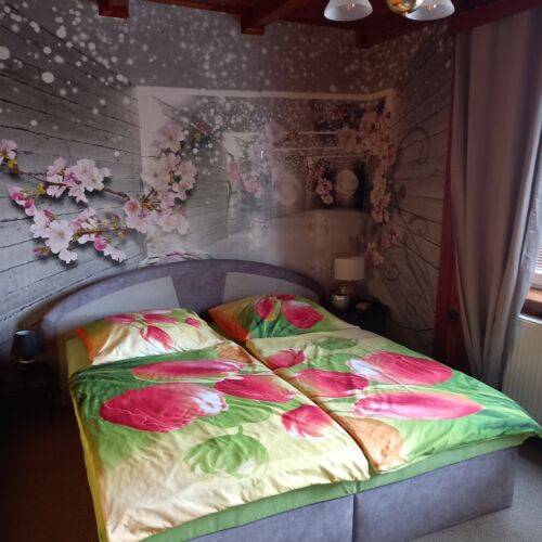 Erdgeschoss Appartement mit Eigener Küche