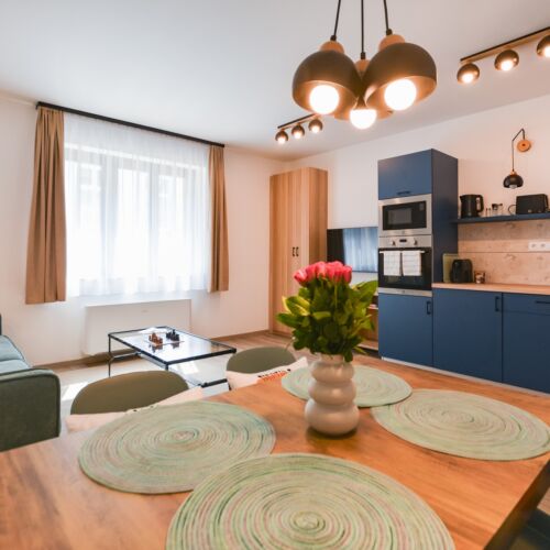 Apartman pro 4 os. se 2 ložnicemi s výhledem na park přízemní