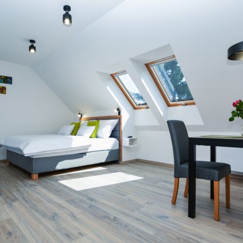 Studio Apartman s manželskou postelí s 1 ložnicí v podkroví