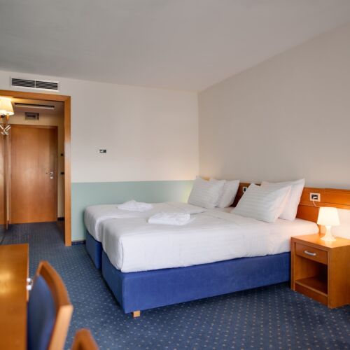 Standard Twin Double Room