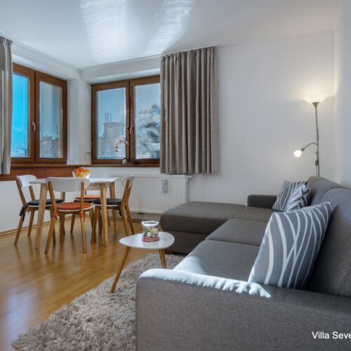 Apartament 4-osobowy na parterze z widokiem na ogród z 1 pomieszczeniem sypialnianym