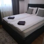 Chic Apartments Carei