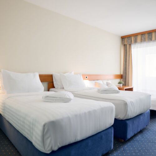 Family Twin Room