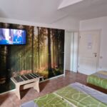 Apartament cu 2 camere pentru 5 pers.