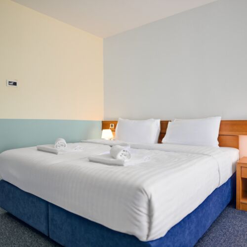 Economy Double Room
