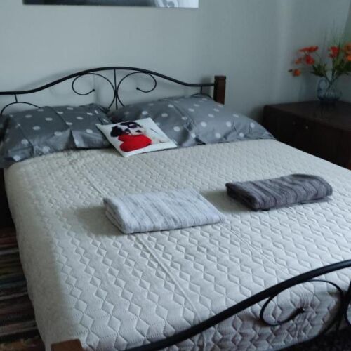 Casa rustică pentru 5 pers. (se inchirieaza doar integral)
