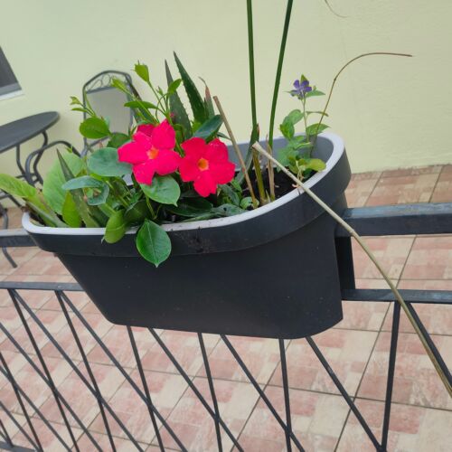 Apartament 4-osobowy z klimatyzacją z tarasem z 1 pomieszczeniem sypialnianym A-21514-b