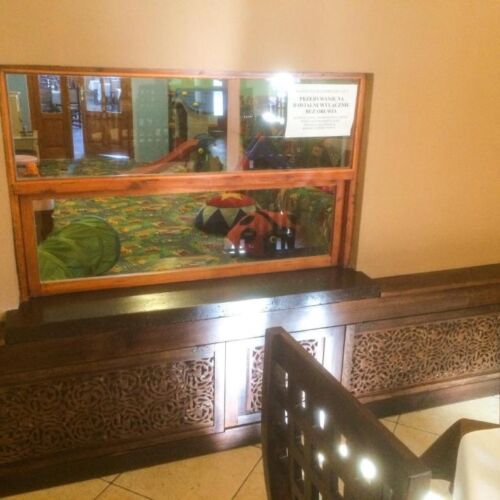 Vierbettzimmer mit Aussicht auf die Berge