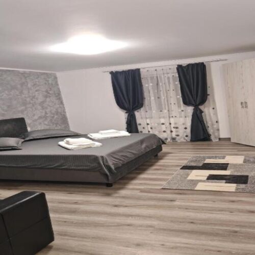 Vilă vilă cu vedere spre munte pentru 8 pers. (se inchirieaza doar integral)