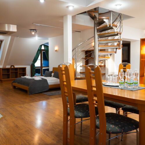 Studio Apartman se sprchou pro 4 os.