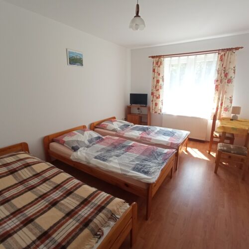 Garden View Ground Floor Triple Room (extra bed available)