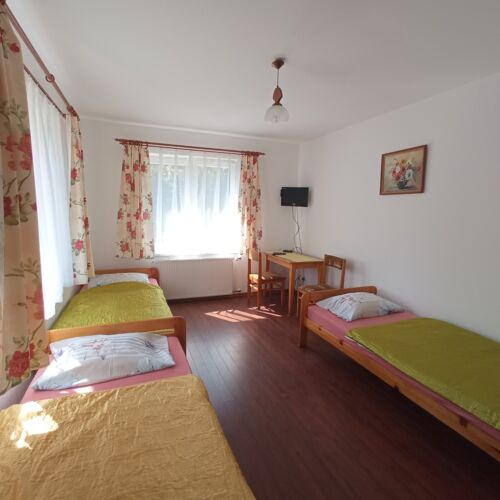 Forest View Ground Floor Triple Room (extra bed available)