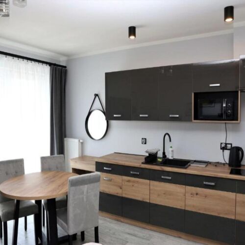 Apartament cu 1 camera pentru 3 pers.