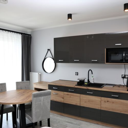 Apartament cu 1 camera pentru 3 pers.