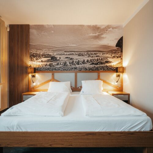 Superior Pokoj s manželskou postelí s výhledem na jezero