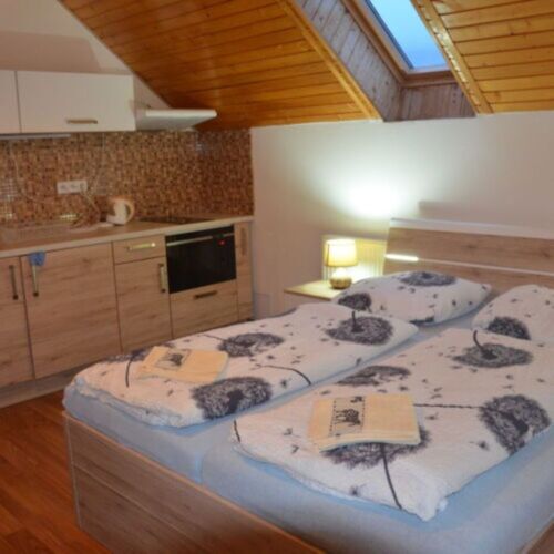 Apartman s manželskou postelí s 1 ložnicí