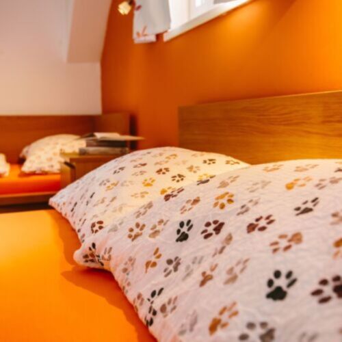 Rezydencja pokój 4-osobowy z prysznicem z widokiem na góry z 2 pomieszczeniami sypialnianymi (możliwa dostawka)