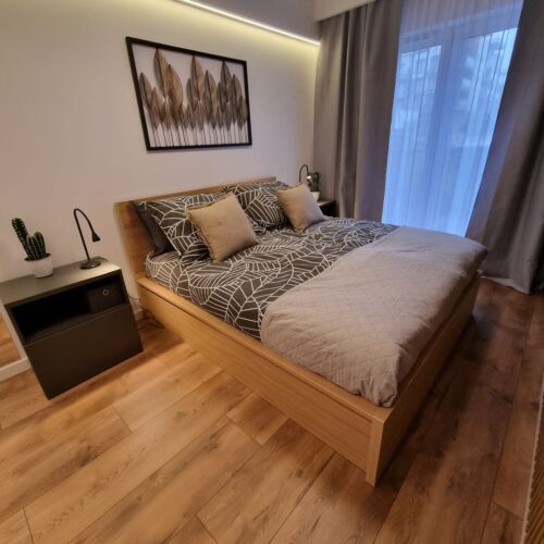 Apartament 2-osobowy na parterze Premium z 1 pomieszczeniem sypialnianym