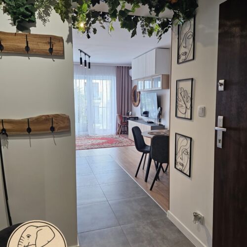 Apartament 2-osobowy na piętrze Premium z 1 pomieszczeniem sypialnianym