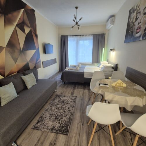 Ground Floor 1-Room Family Apartment for 2 Persons (extra bed available)