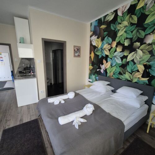 Ground Floor 1-Room Family Apartment for 2 Persons (extra bed available)