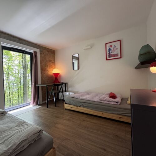 Forest View Whole House House for 10 Persons