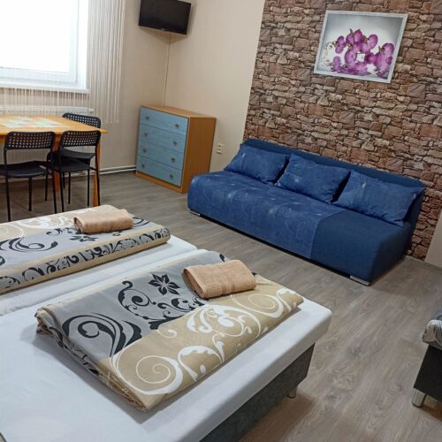 Ground Floor 1-Room Apartment for 5 Persons