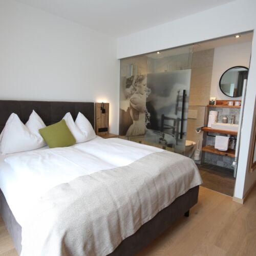 Camera dubla economy cu baie