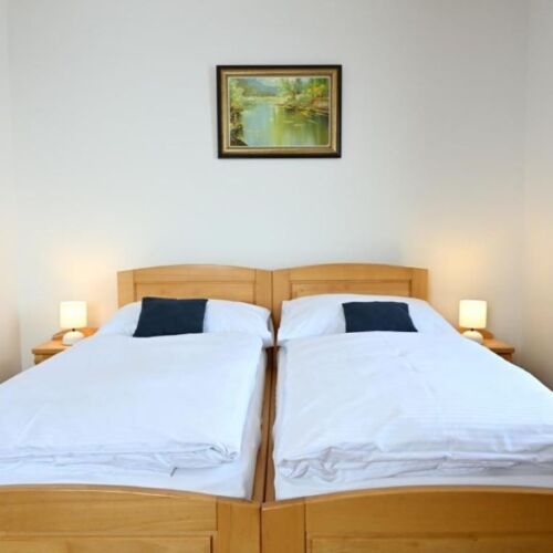 Pokój 2-osobowy Deluxe z łazienką