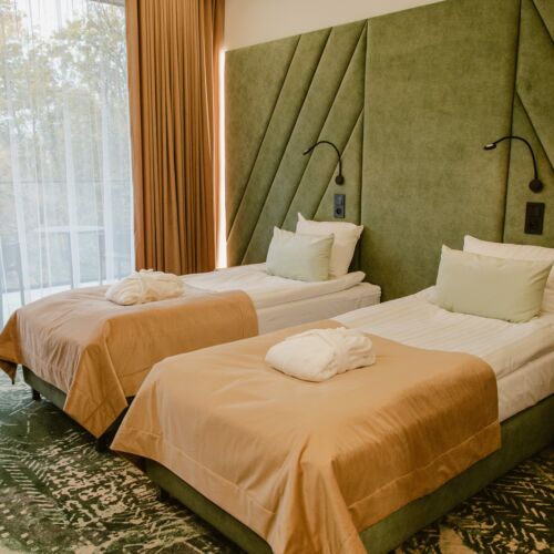 Superior Twin Room air Conditioned