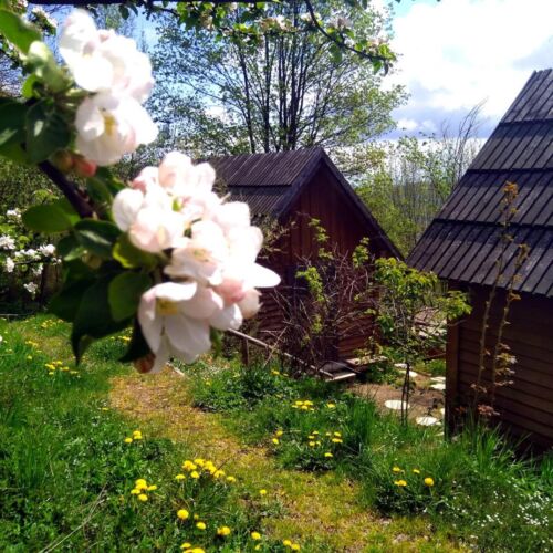 Pokój 4-osobowy ze wspólną łazienką z antresolą