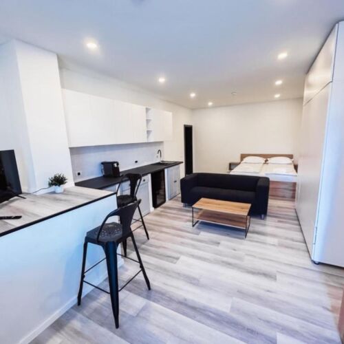 Apartament cu 1 camera pentru 2 pers.