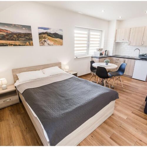 Apartament 2-osobowy z 1 pomieszczeniem sypialnianym (możliwa dostawka)