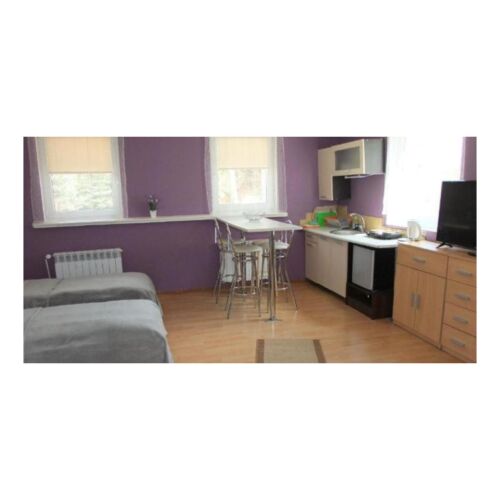 Deluxe Apartman s vlastní malou kuchyňkou pro 4 os. s 1 ložnicí