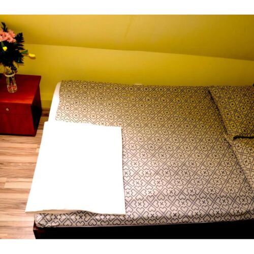 Pokój 4-osobowy na piętrze Studio