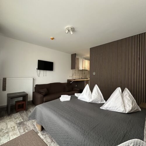 Suita studio family cu 2 camere pentru 3 pers.