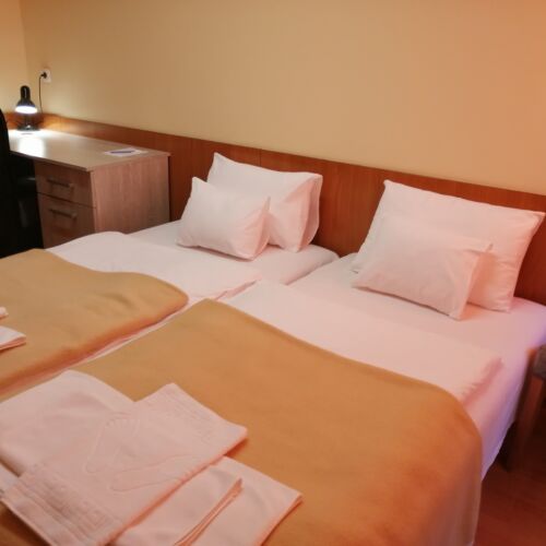 Camera twin standard